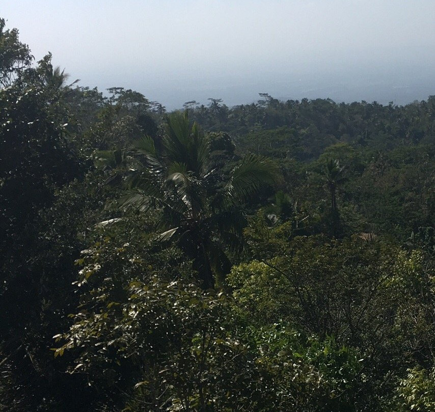 Lanang Mountain-Kulon Progo必去景点