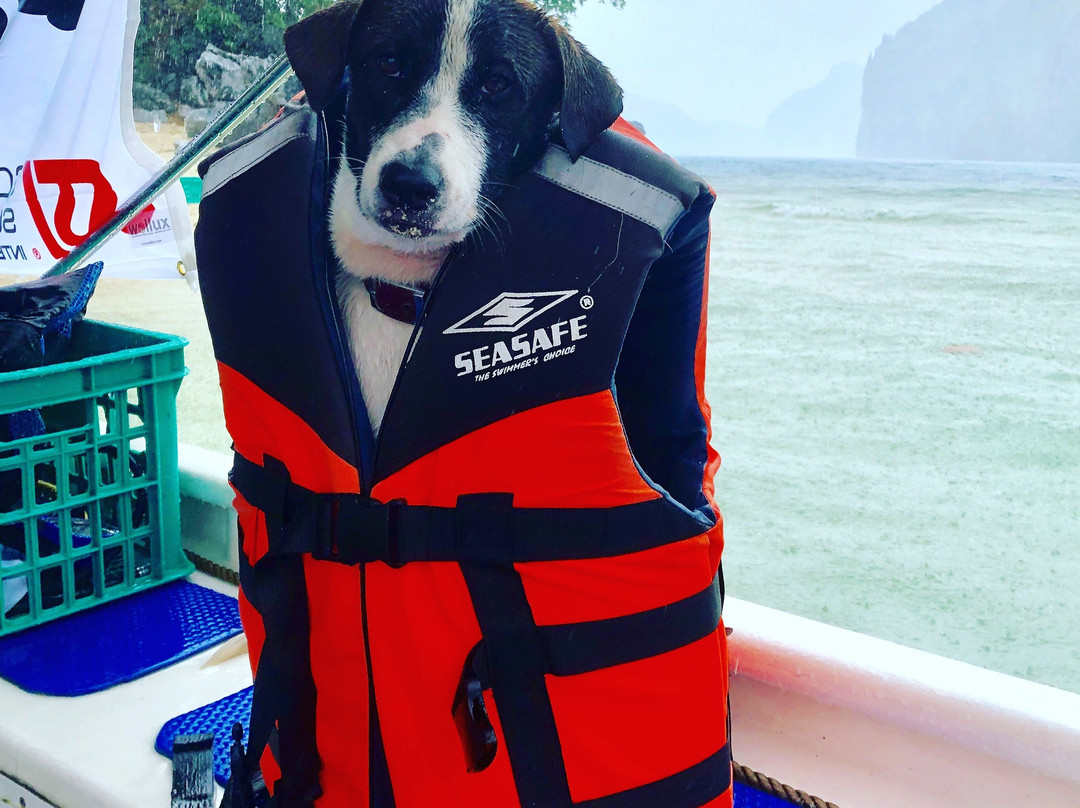 Ranmarc Dive Shop and Services-爱妮岛必去景点