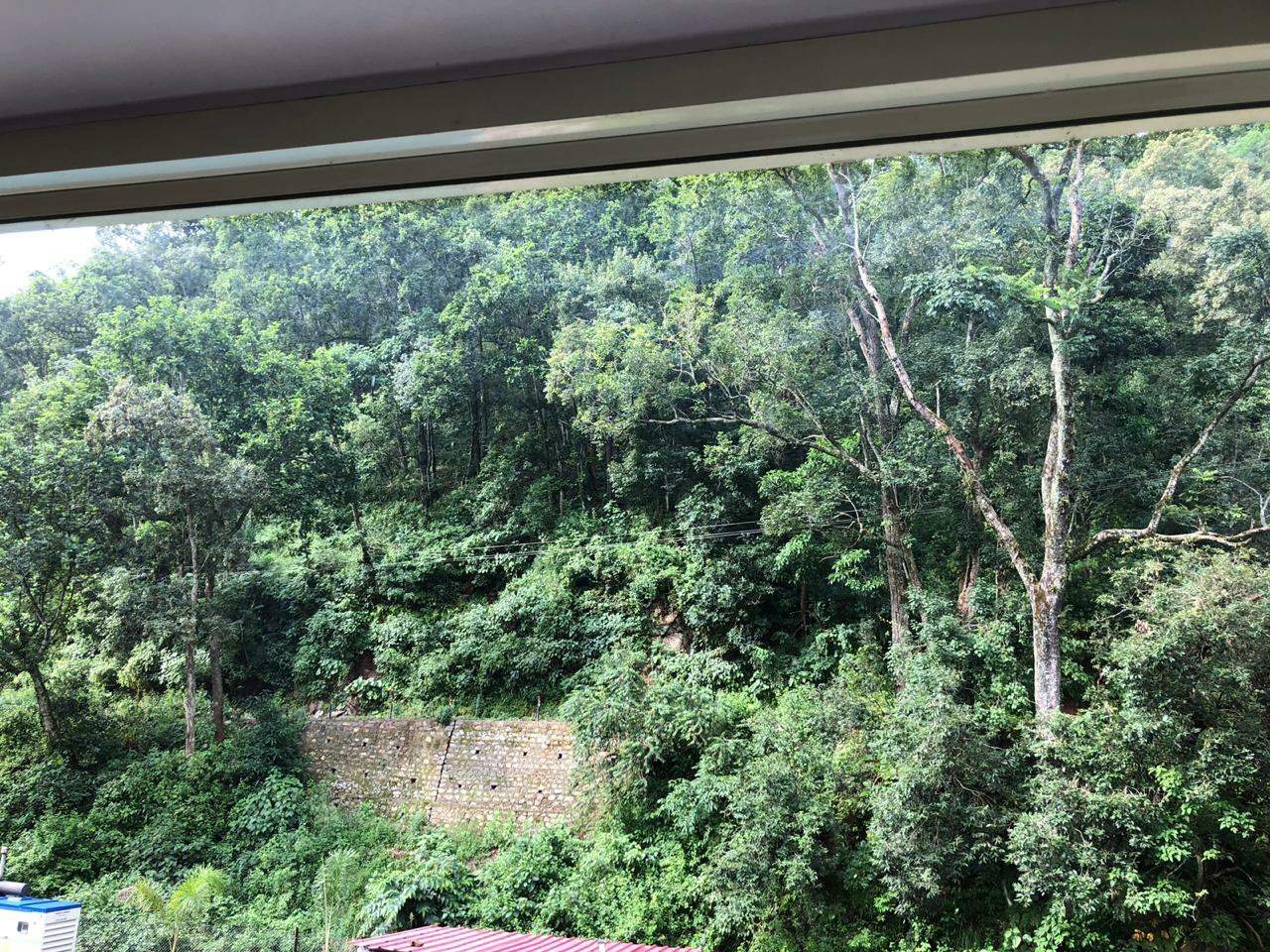 Corbett Mist Resort-官方