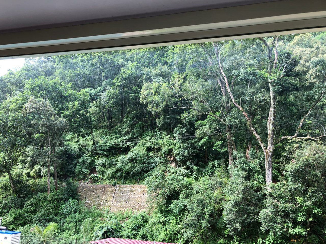 Corbett Mist Resort主图