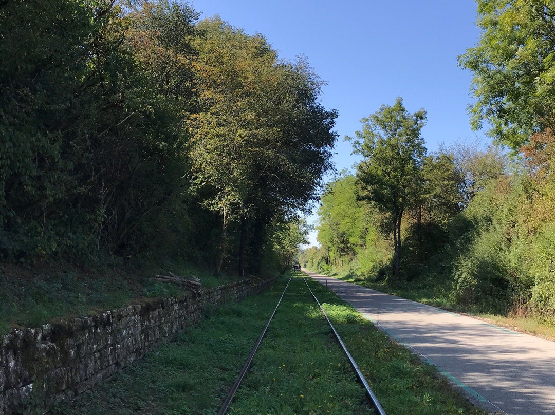 Velos-rails de Vesoul-Vaivre景点图片