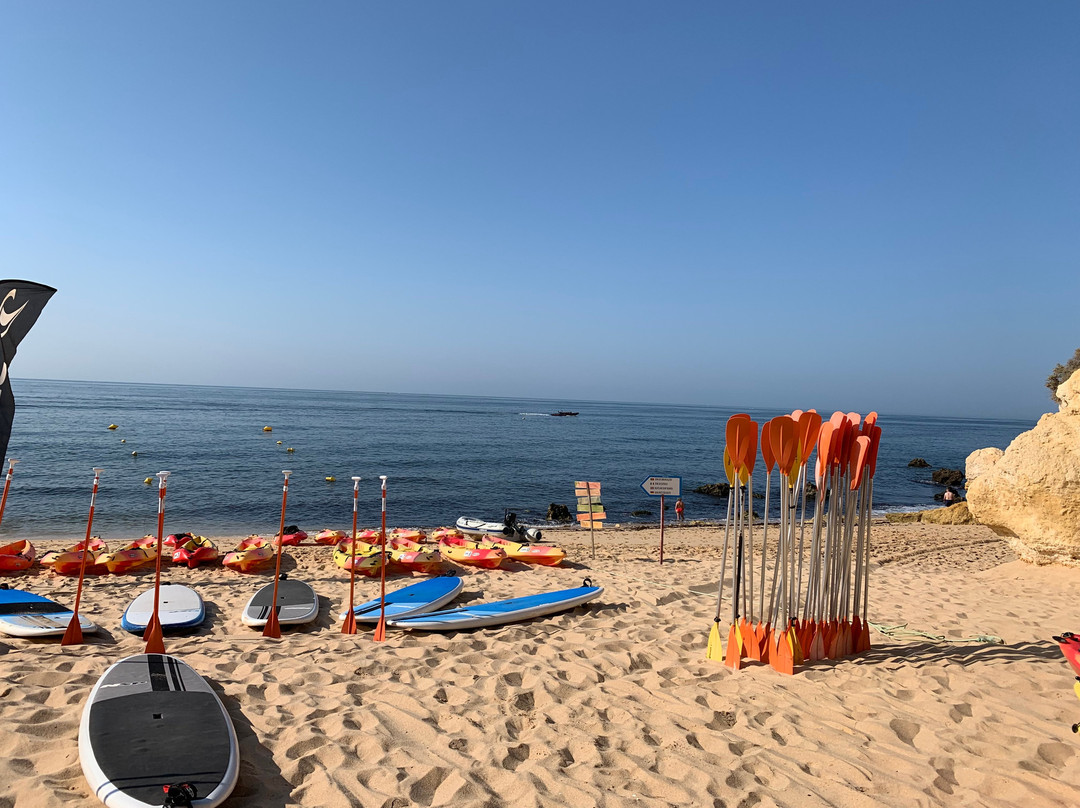 Albufeira Surf & SUP景点图片