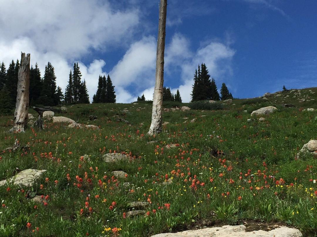 Hagerman Pass-Leadville必去景点
