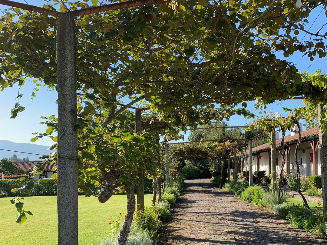 Quinta Dom Sapo主图