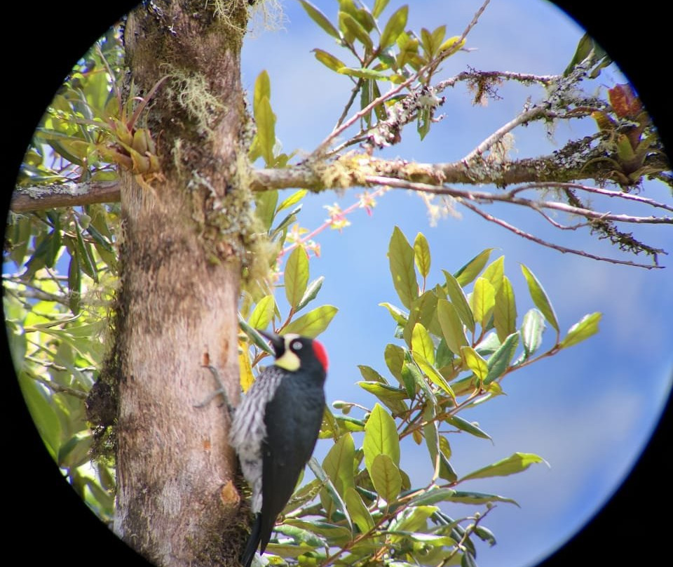 Costa Rica Itinerary景点图片