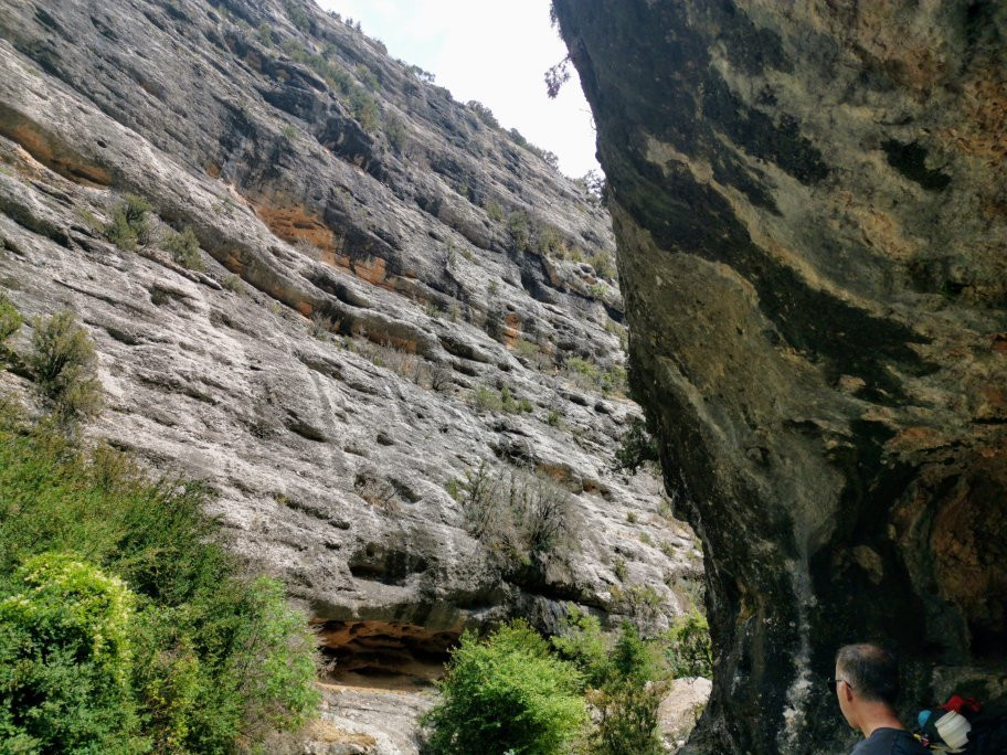 Expediciones景点图片