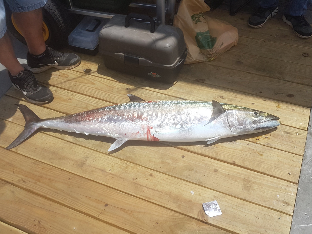 J & M Tackle-橙色海湾必去景点