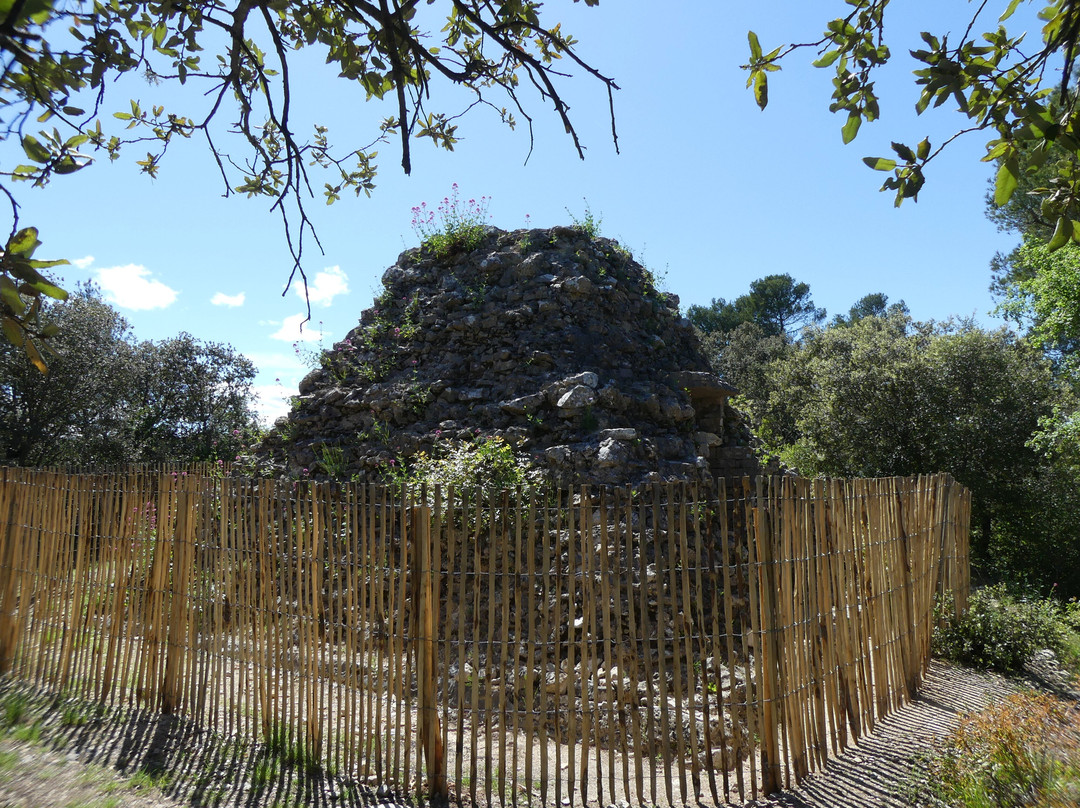 La Pyramide De Tourves景点图片