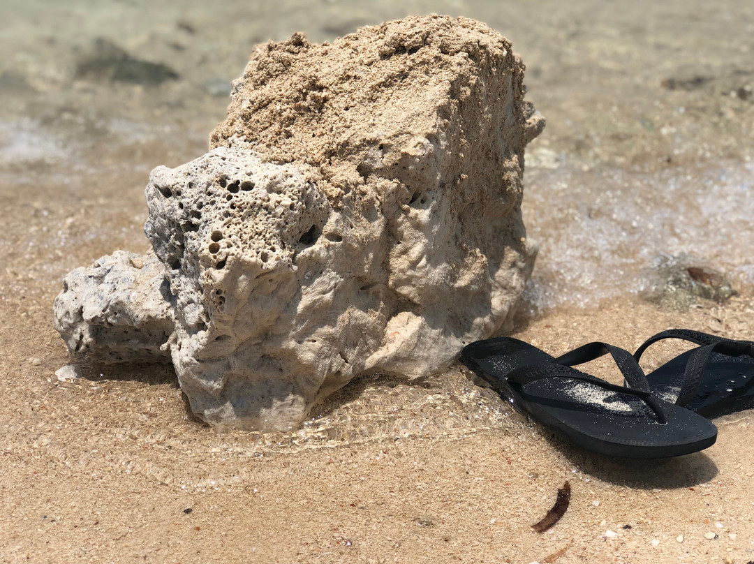 Sagay Marine Reserve (Carbin Reef)景点图片