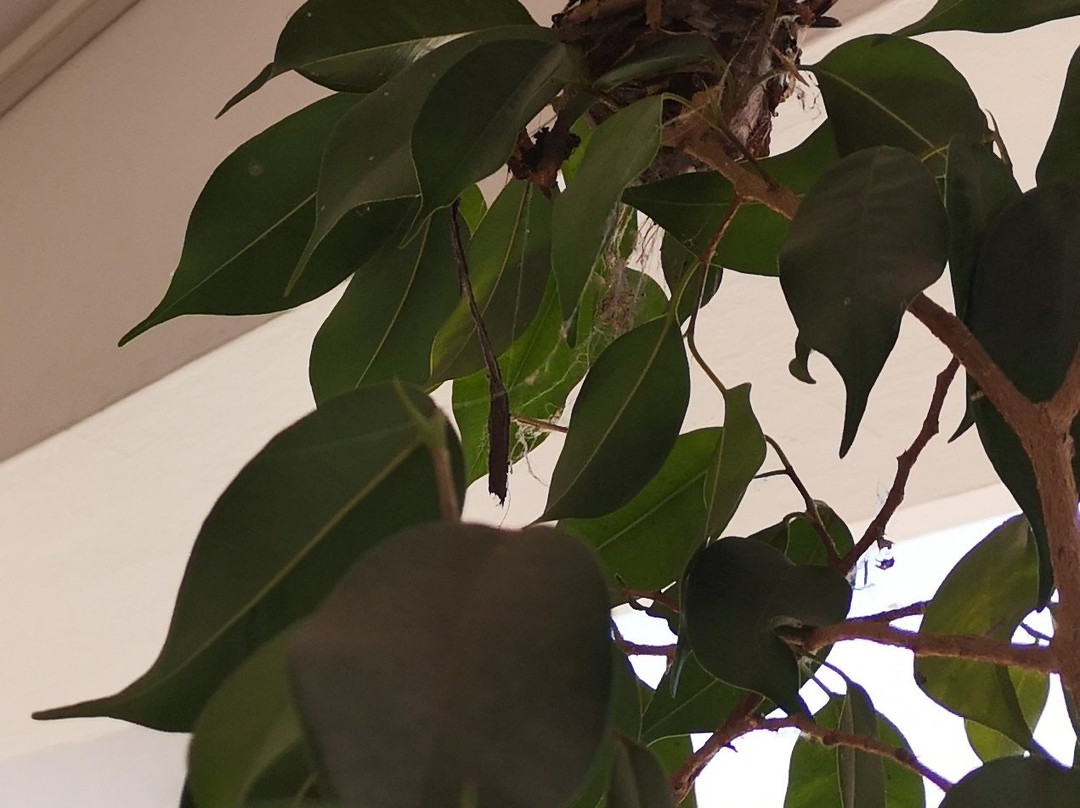 Petit Hotel Salta主图