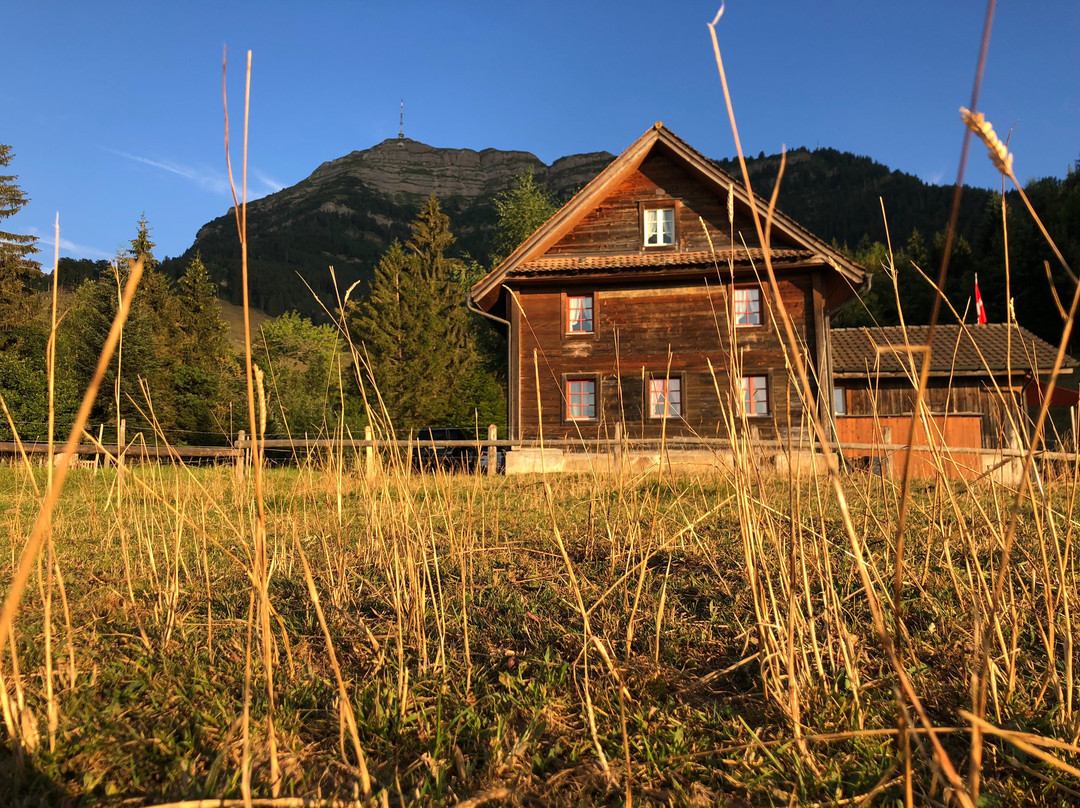 Luftseilbahn Seebodenalp-屈斯纳赫特瑞吉必去景点
