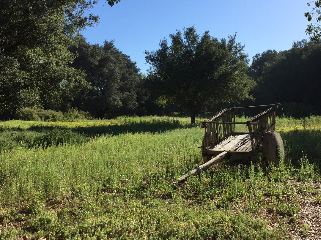 Rancho La Puerta主图