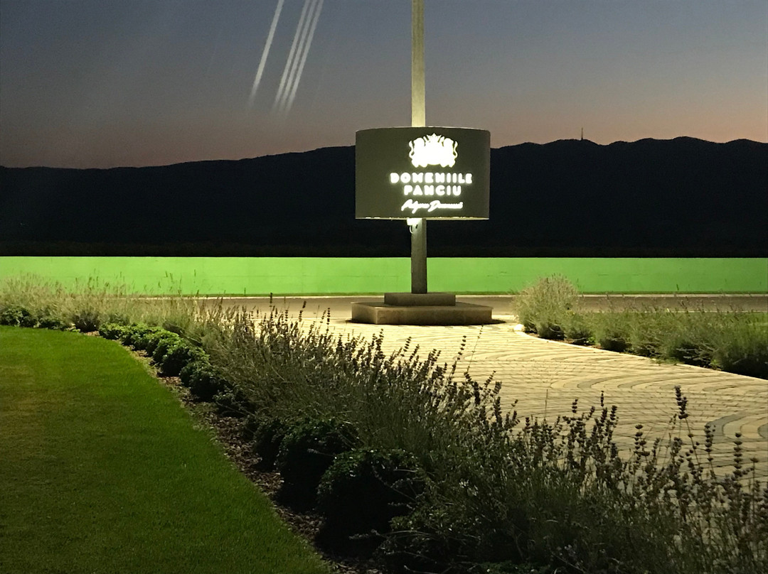 Domeniile Panciu Winery & Resort主图