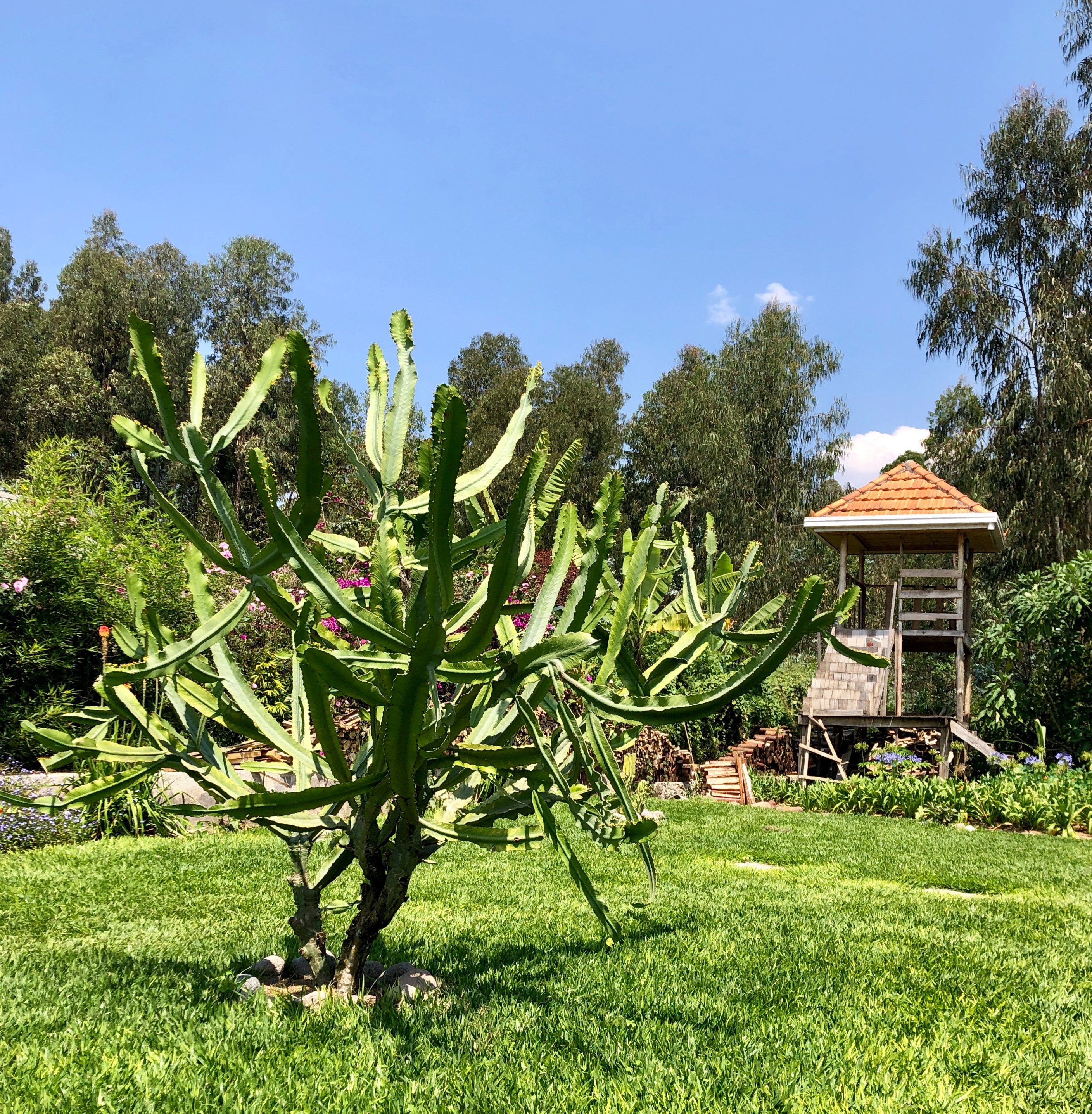 Five Volcanoes Boutique Hotel-浴室