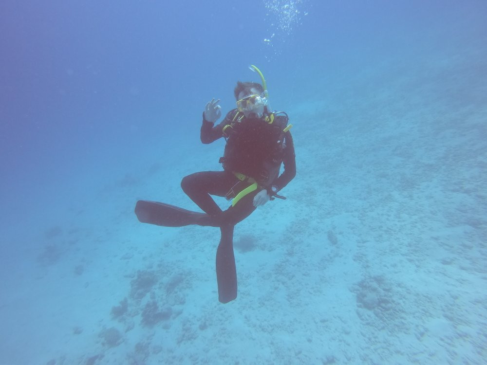 Quicksilver Dive景点图片