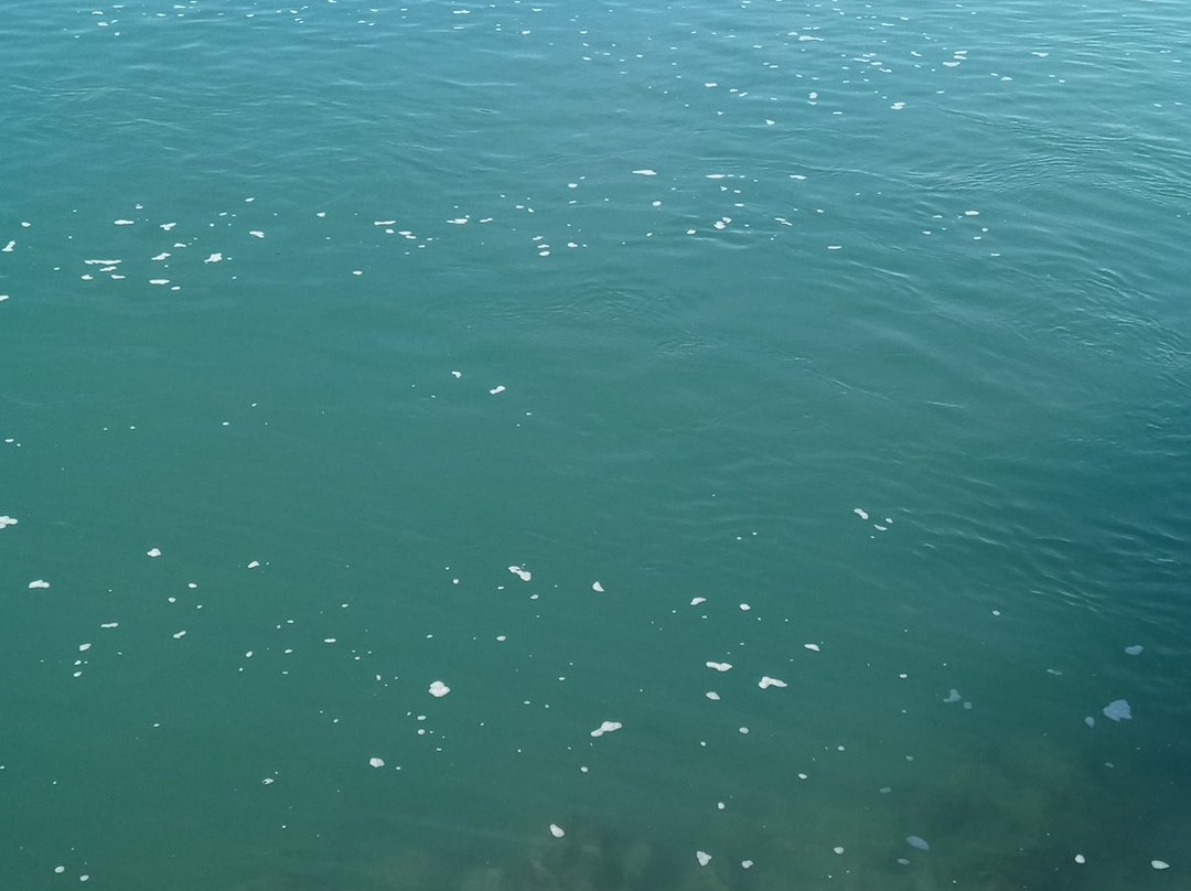 Kowie River-艾尔弗雷德港必去景点