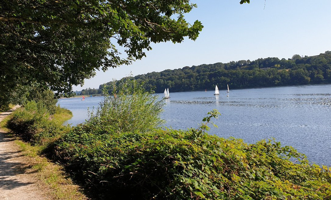 Damflask Reservoir景点图片