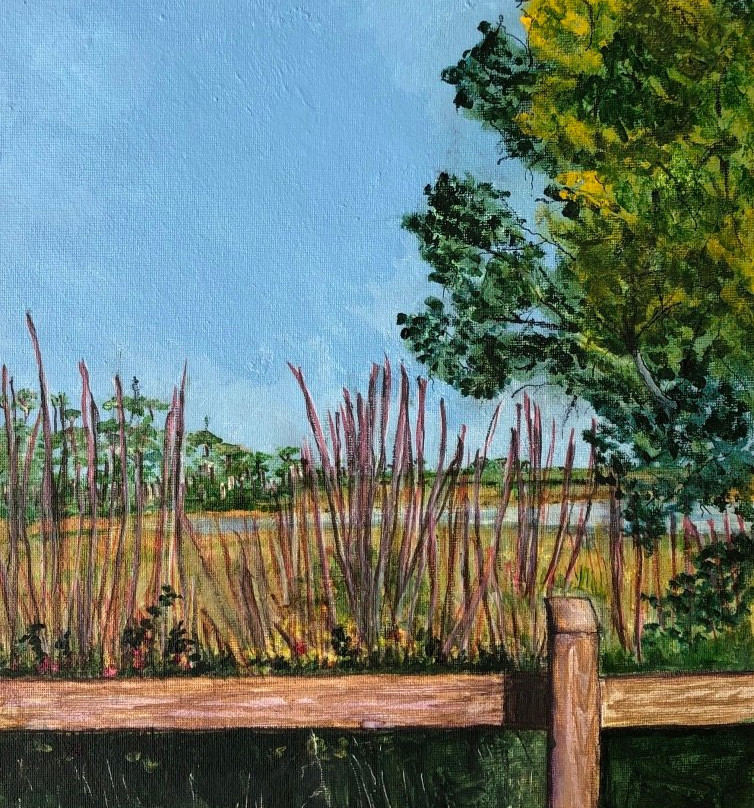 Savannas Preserve State Park-圣露西港必去景点