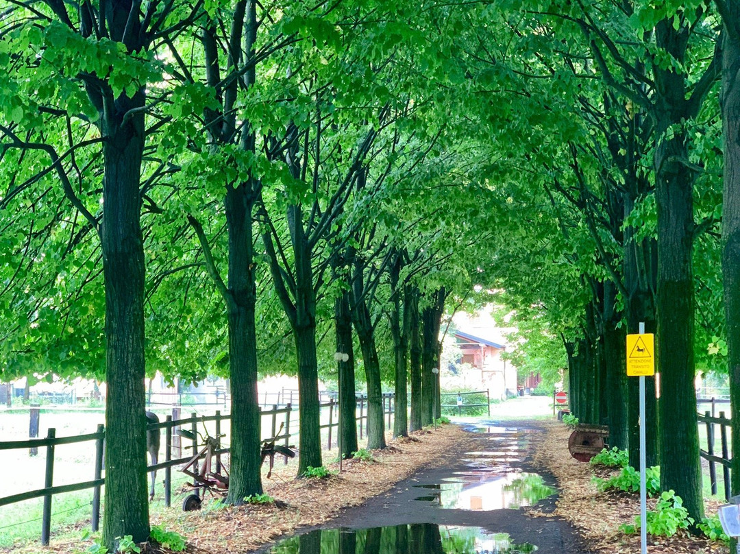 San Giacomo Horses主图