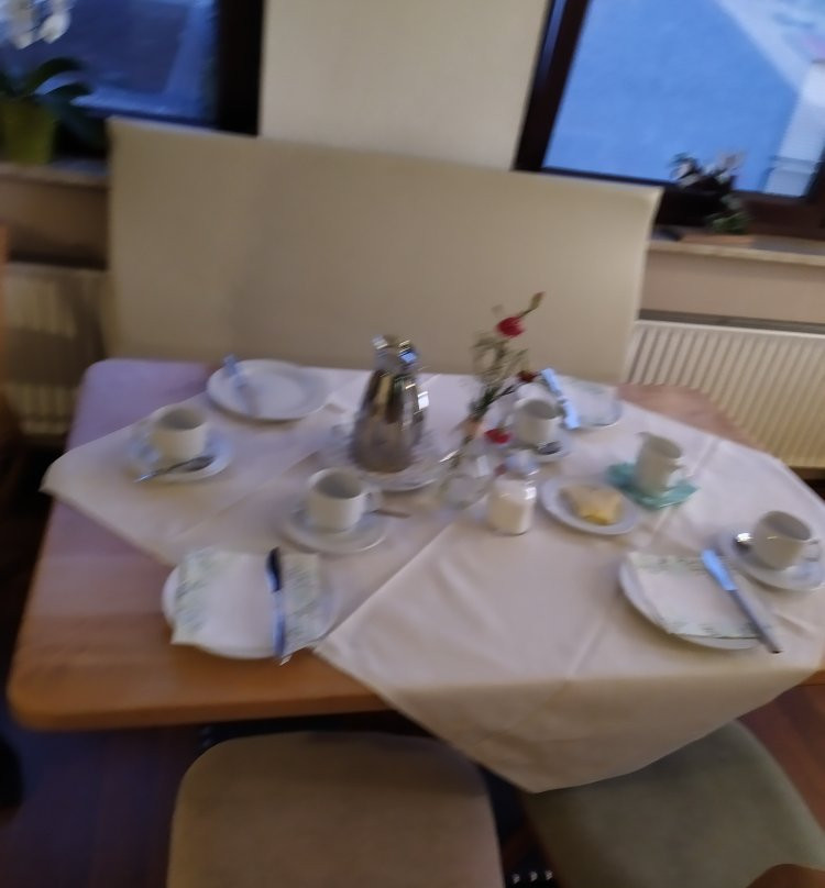 Hotel Garni Zum Adenauer Forst主图