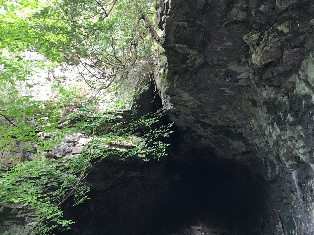 Bruce's Caves Conservation Area景点图片