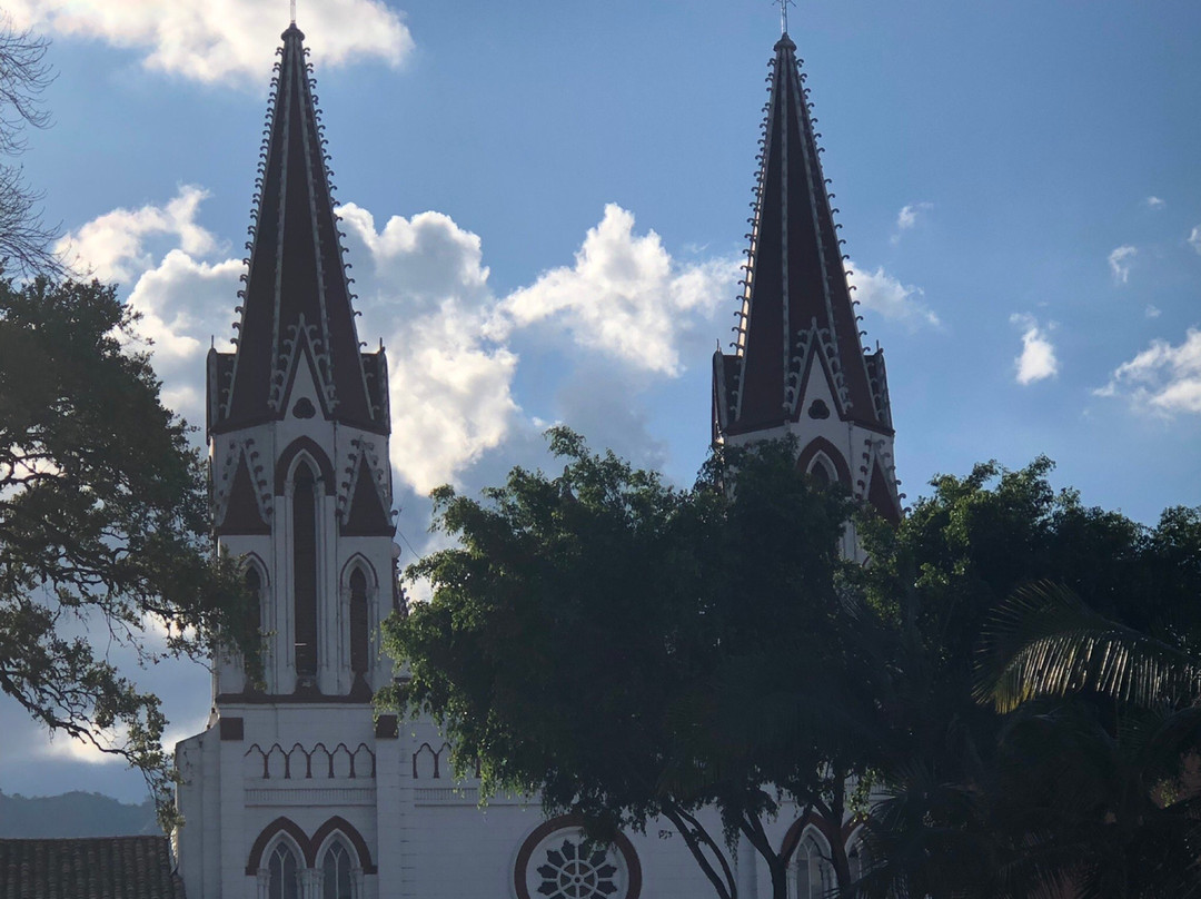 Plaza de Bolivar景点图片