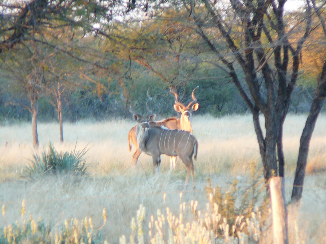 Baobab Game Ranch
