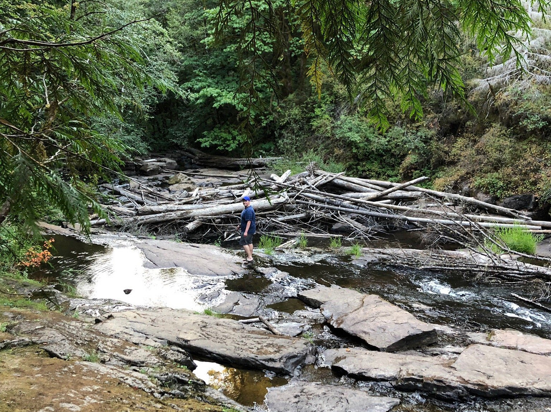 Alsea Falls Recreation Site-Alsea必去景点