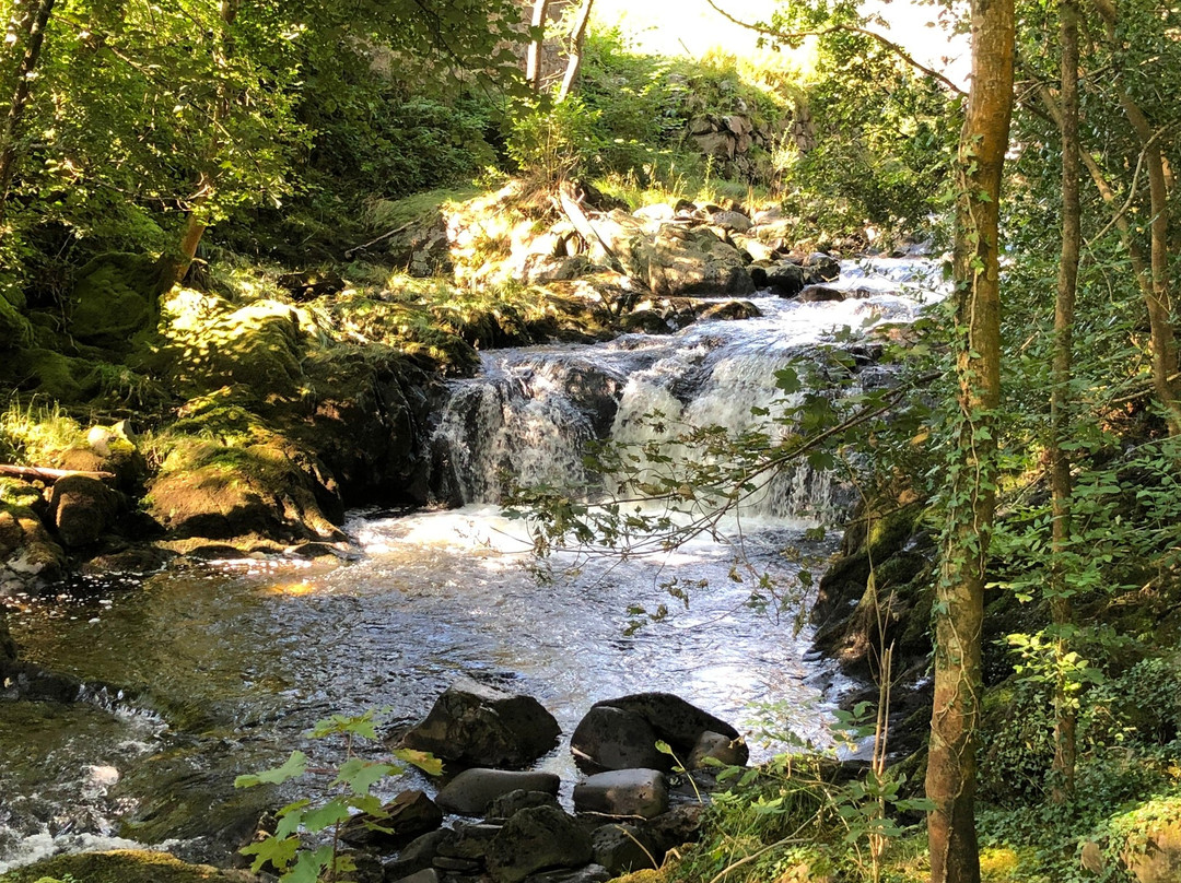 Rhaeadr Ddu and Coed Ganllwyd Walk景点图片
