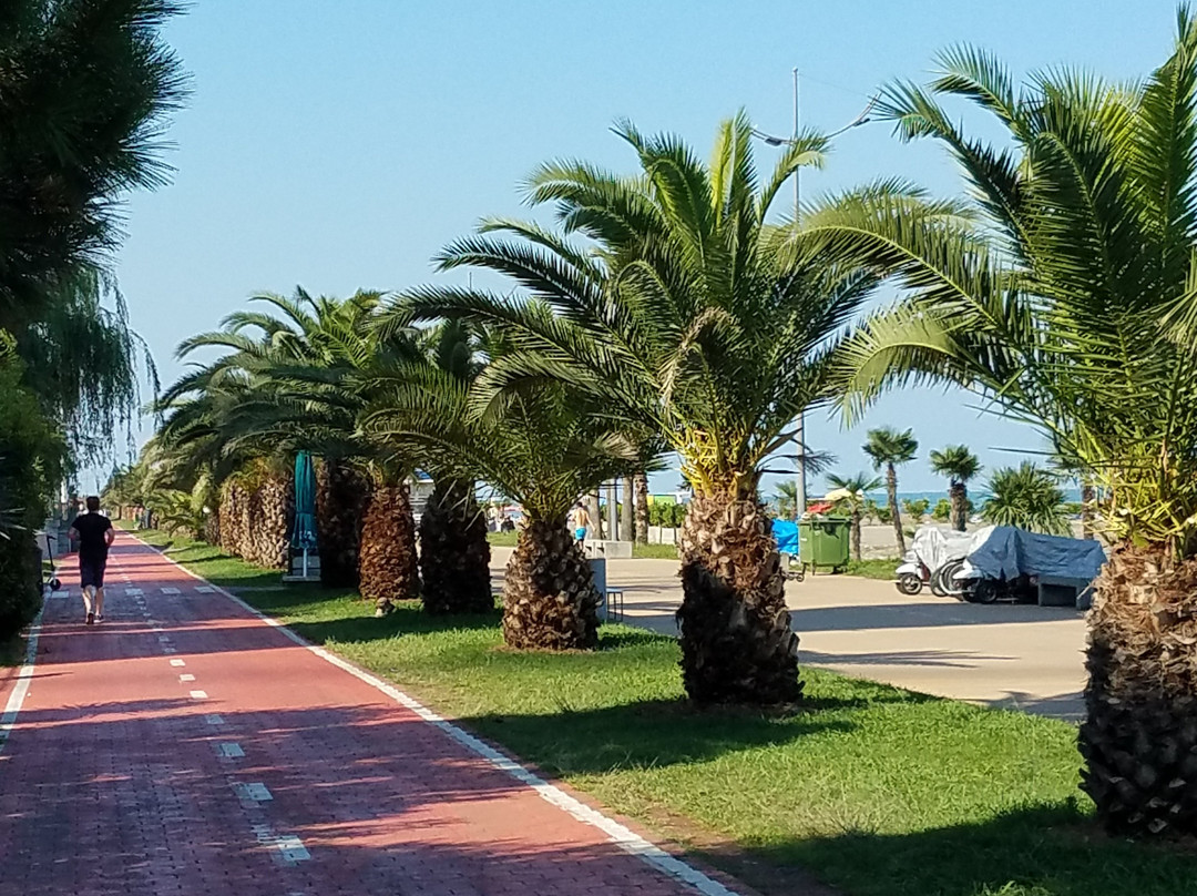 Batumi Boulevard-巴统必去景点