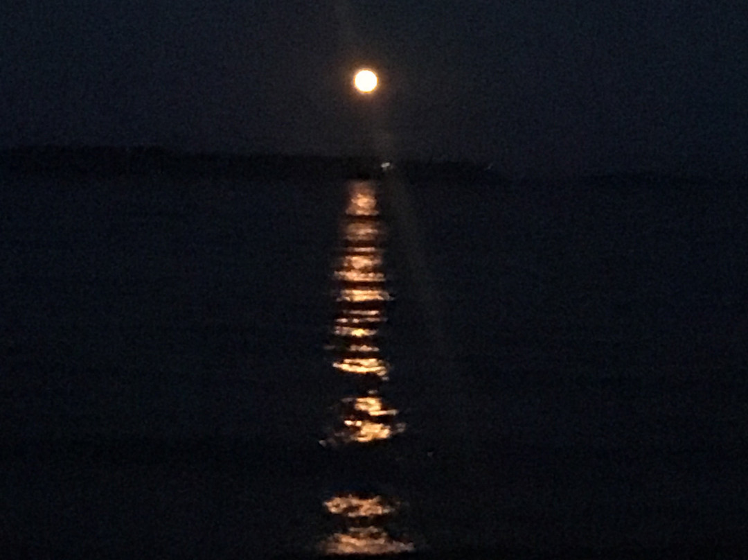 Bavarian Haus Lakefront Inn主图