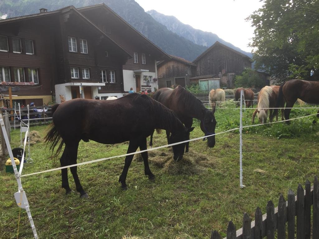 Hotel Baren Guttannen主图