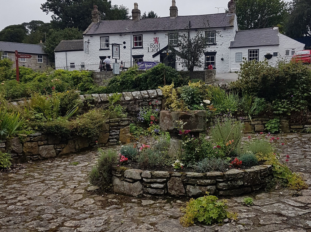 Llanasa Parish Church景点图片