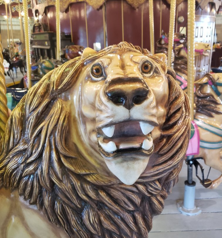 Lakeside Park Carousel-圣凯瑟琳斯必去景点