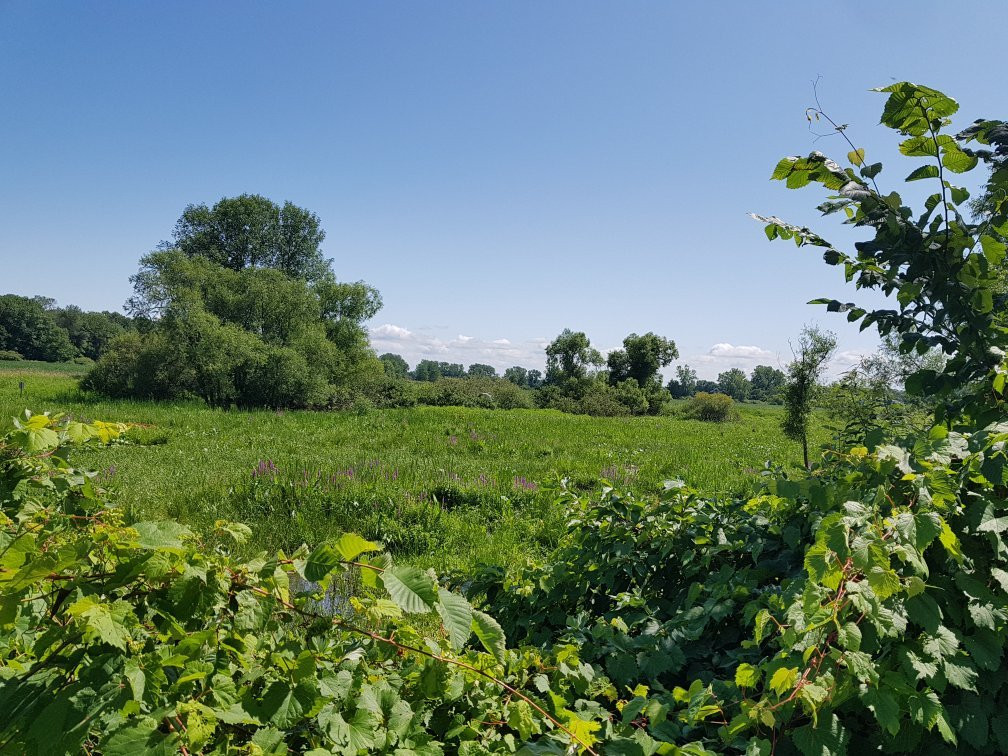 Scirbi-Berthierville必去景点