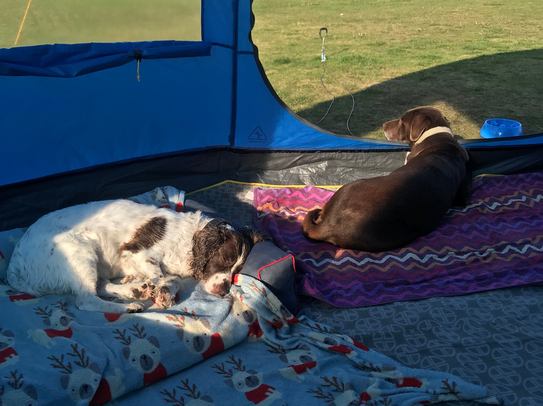 Sandilands Caravan Park主图
