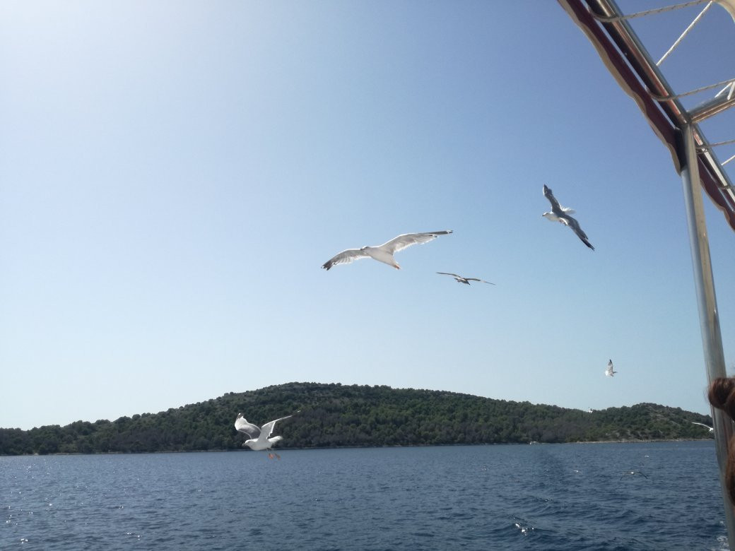 Sea Shell Tours-Pakostane必去景点