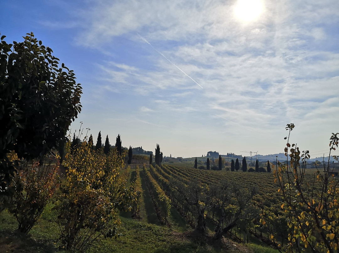 Azienda Agricola Rubinelli Vajol景点图片