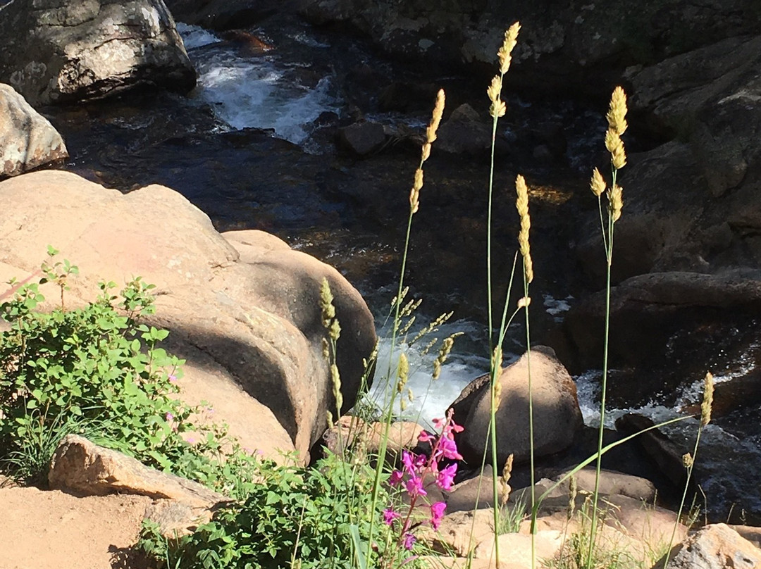 Chasm Falls Trail-落基山国家公园必去景点