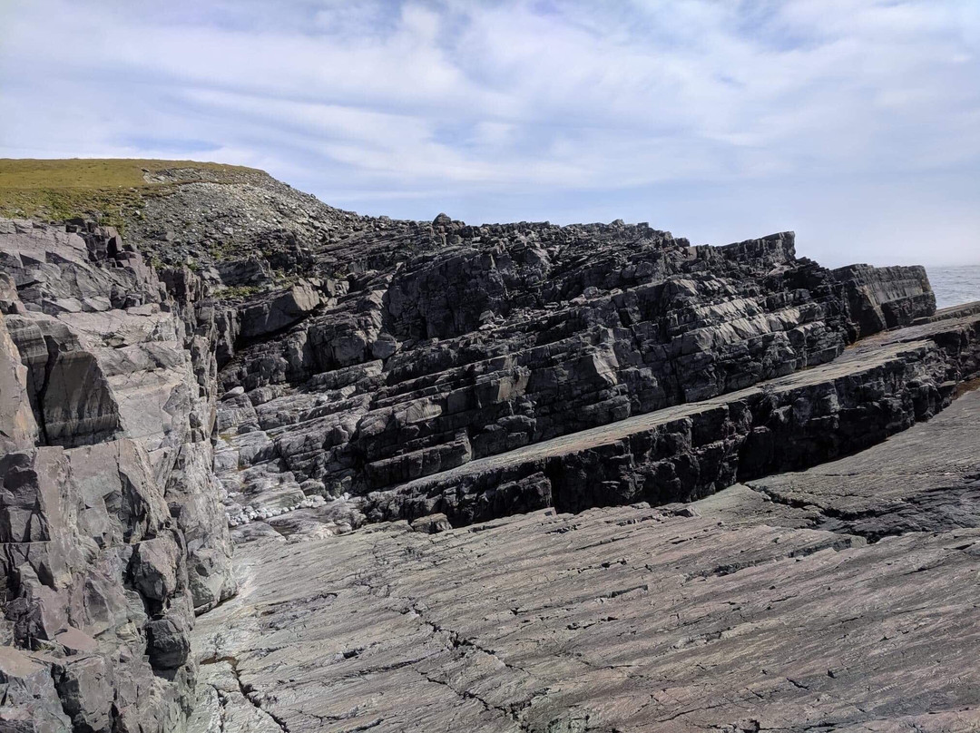 Mistaken Point Ecological Reserve景点图片