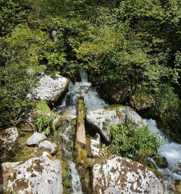 BoscoArteStenico Museo d'Arte nella Natura景点图片