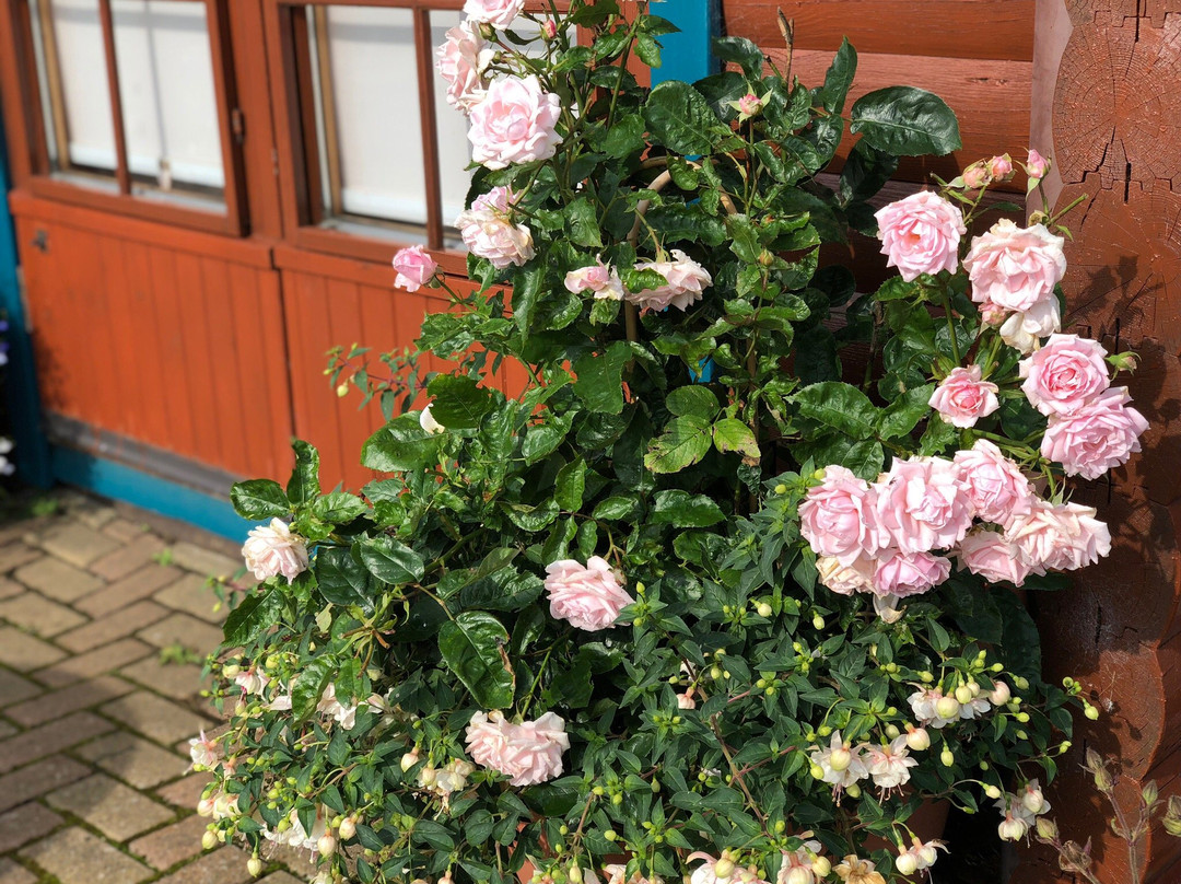 Balnabrechan Lodge B&B主图