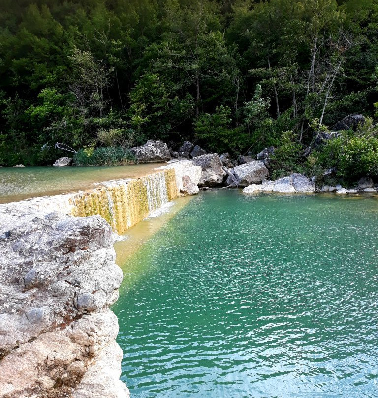 Foresta di Berignone-Pomarance必去景点