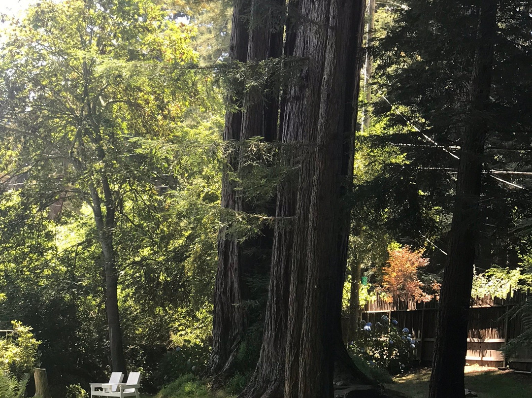 Beauregard Vineyard-圣克鲁斯必去景点