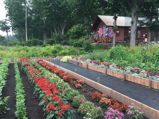 Hoshino Furusato Kaiyo no Oka-中标津町必去景点