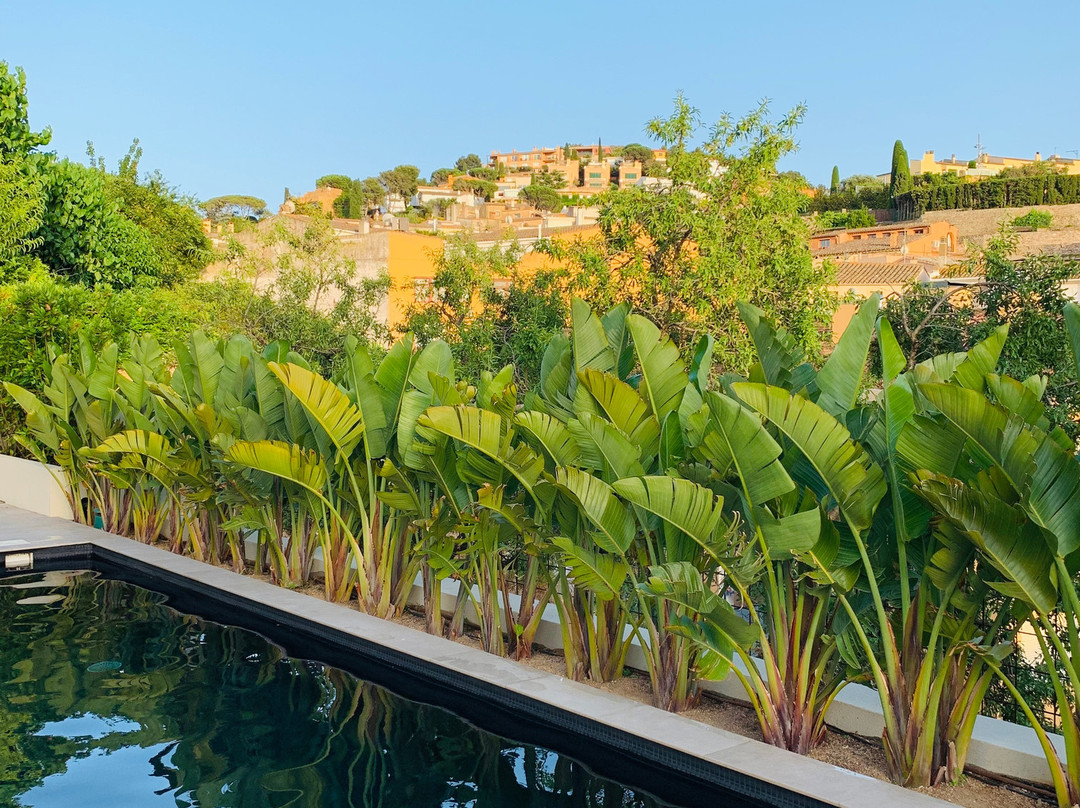 Alta House Begur主图