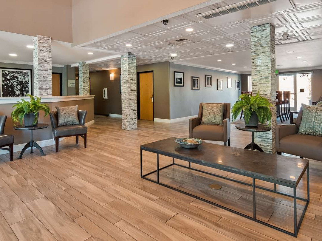 Best Western Plus Vineyard Inn主图