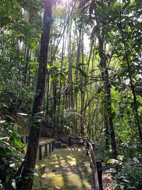 Jardin Botanico Universidad Tecnologica de Pereira-佩雷拉必去景点