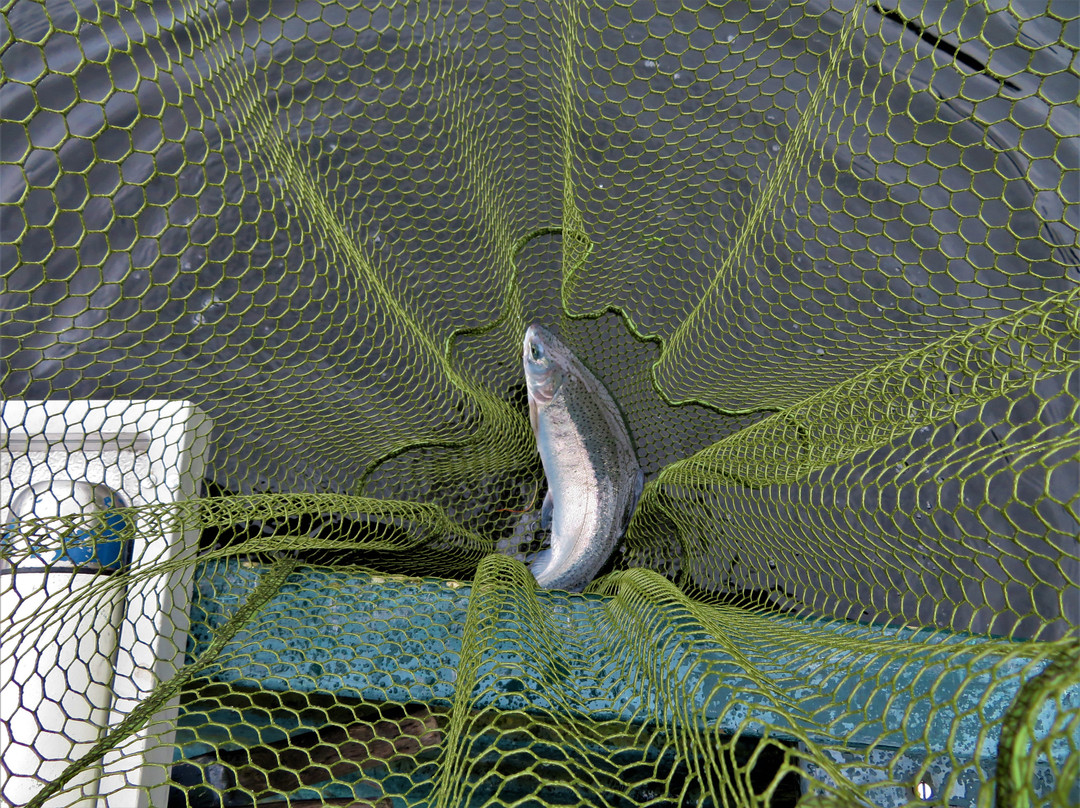 Glensherup Fishery-Glendevon必去景点