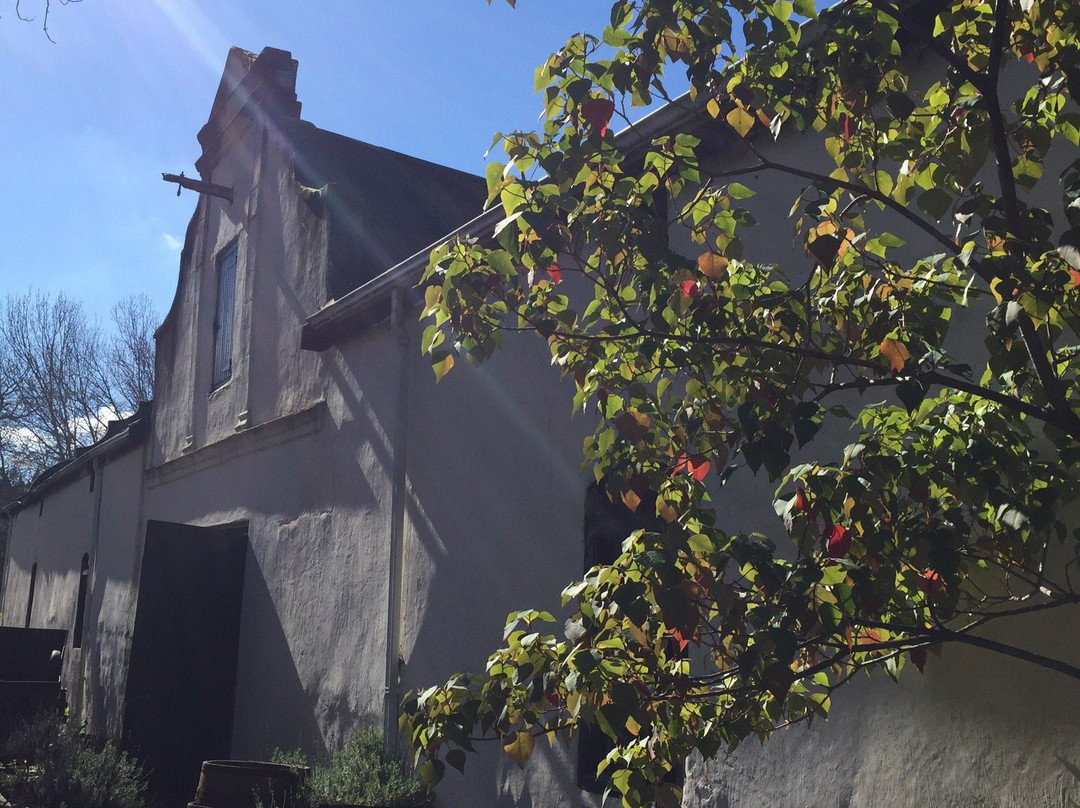 Annandale Wine Estate-斯泰伦博斯必去景点